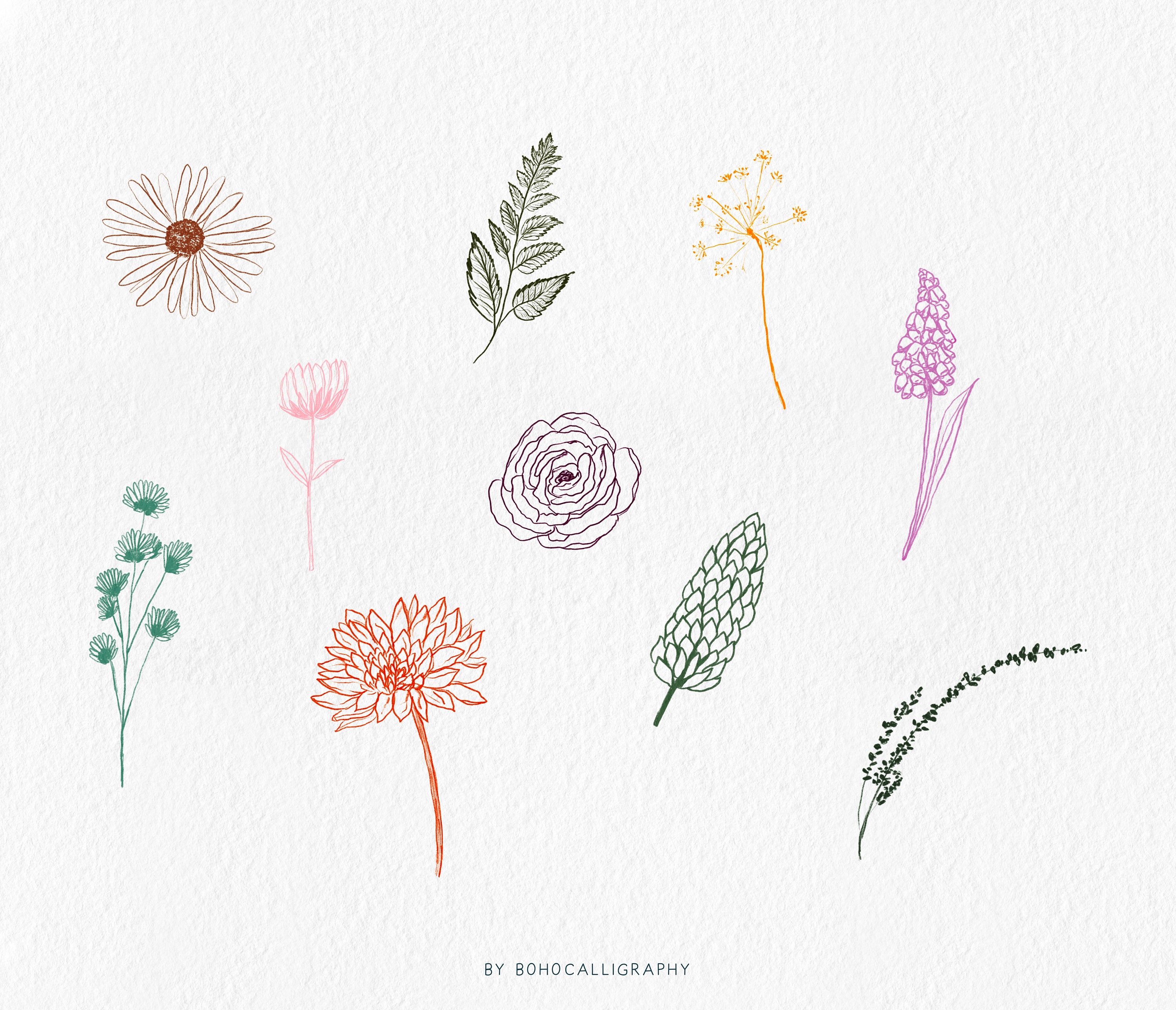 Wildflowers Hand Drawn Procreate Stamp Brushes Delicate - Etsy