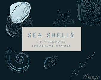 Sea Shells Line Drawing Procreate Stamps | Minimalist Sea Shells Clip art | Procreate Stamp Brushes | Hand Drawn Sea Shells Line art