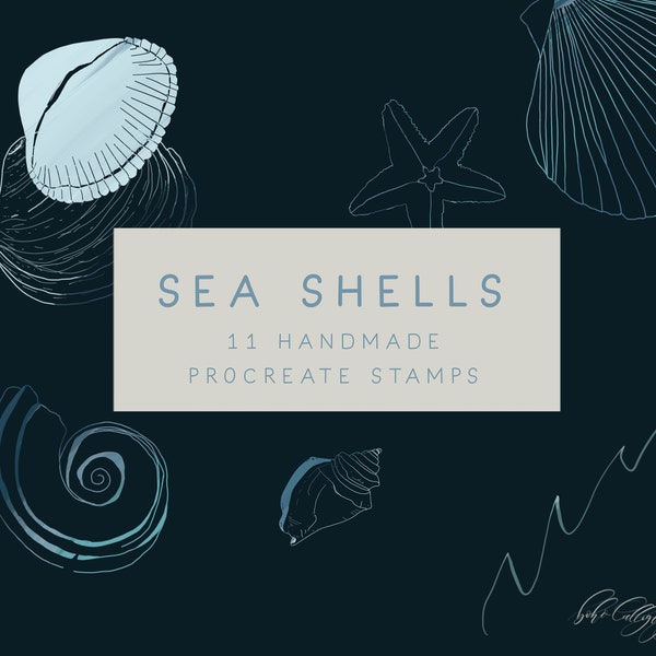 Sea Shells Line Drawing Procreate Stamps | Minimalist Sea Shells Clip art | Procreate Stamp Brushes | Hand Drawn Sea Shells Line art