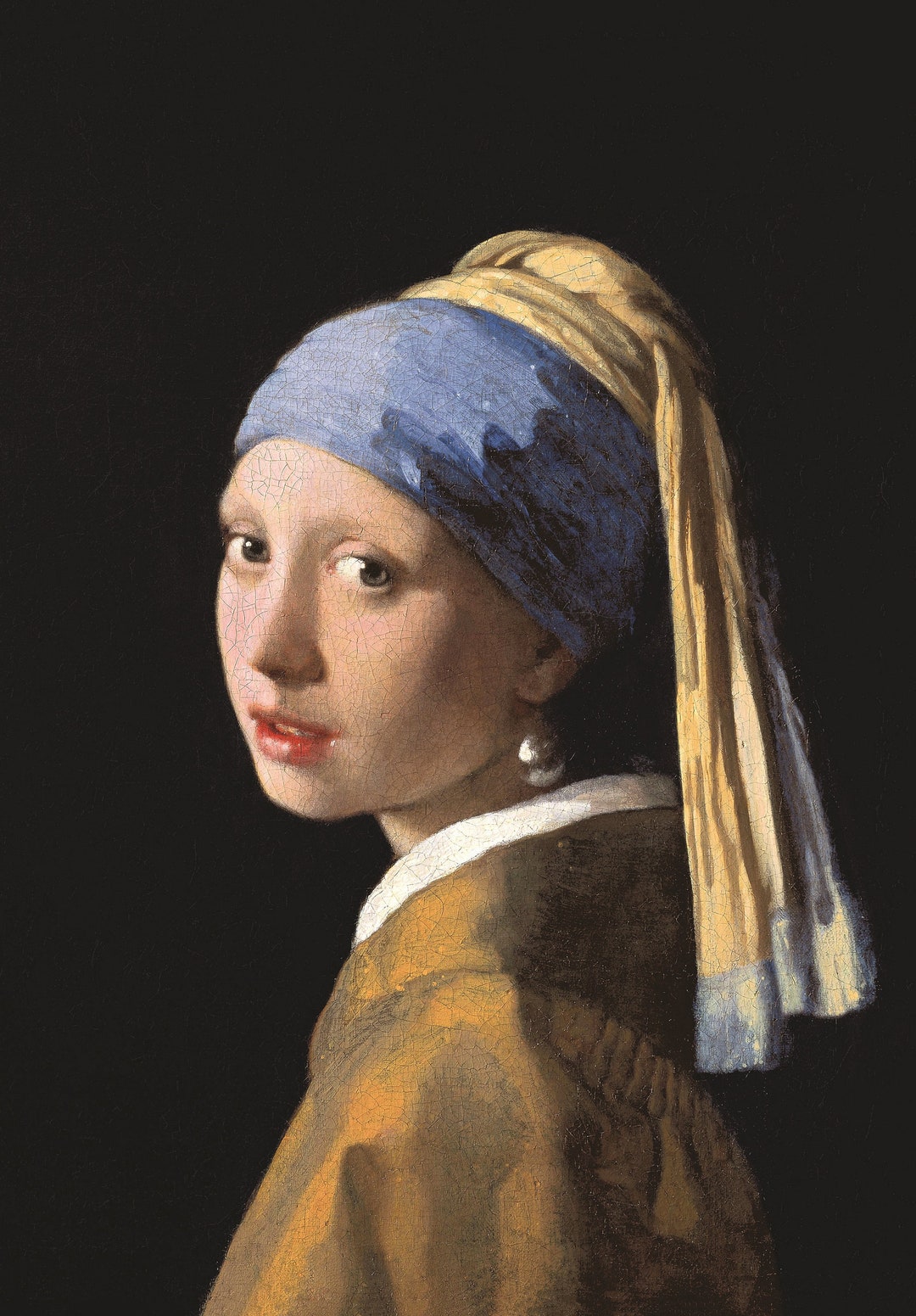 Girl With a Pearl Earring Painting by Johannes Vermeer Unframed Canvas