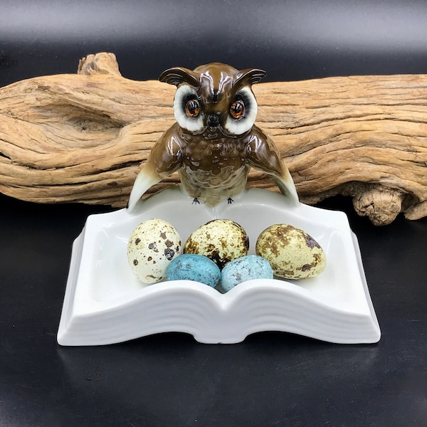 VTG Gerold Porzellan Bavaria Wise Owl Perched on Open Book Trinket Dish/Ring Dish/Business Card Holder, Mid Century Owl Ashtray