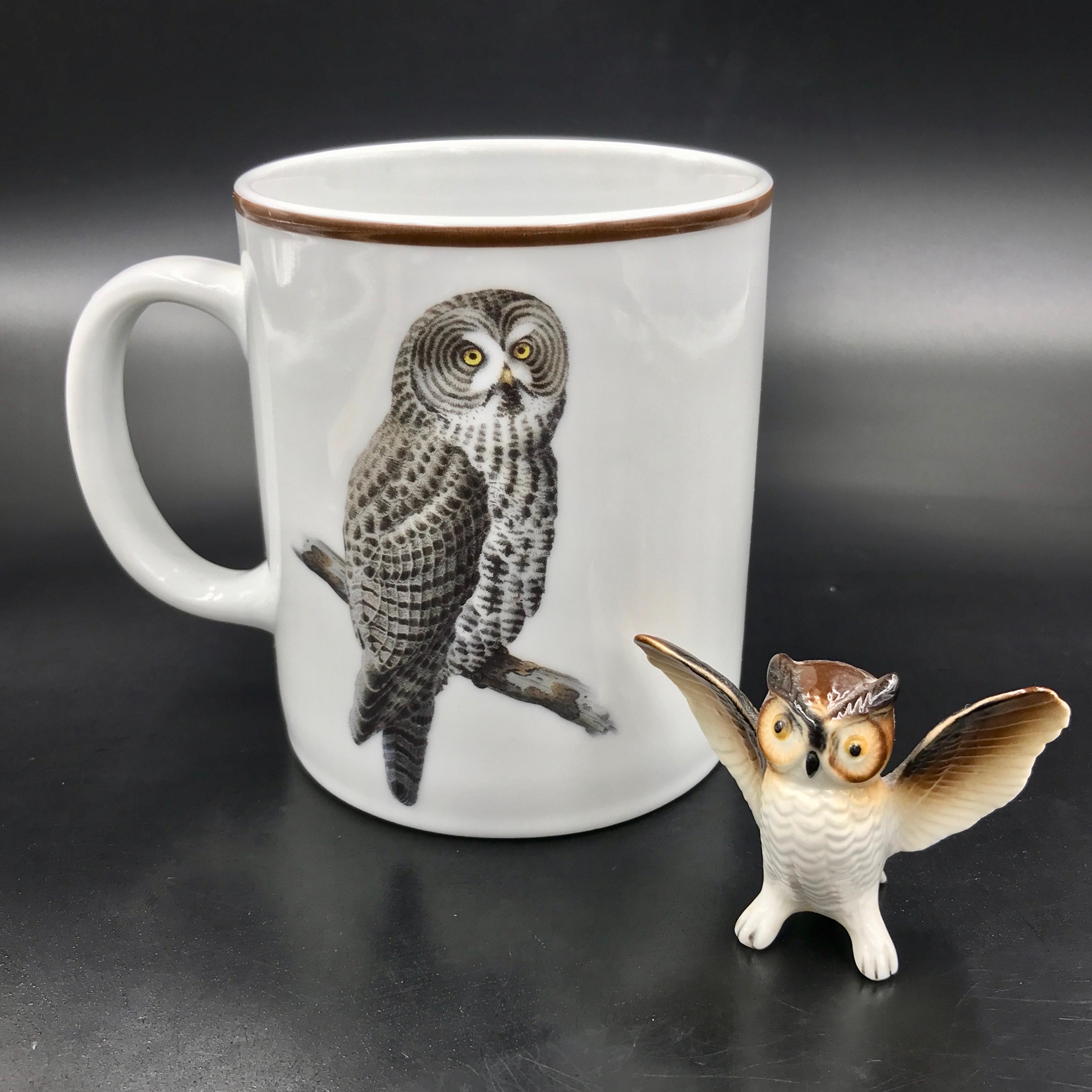 Vintage National Wildlife Federation Owl Mug: Large Bird Lover Gift