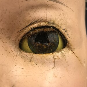 May include: Close-up of a doll's eye with a cracked and aged porcelain face. The eye is made of glass and has a dark brown iris with a black pupil. The eye is surrounded by a yellow sclera and a thin black lash line.