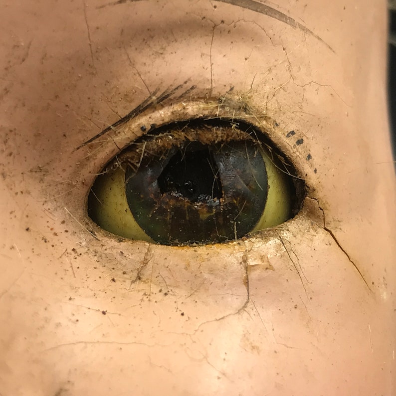 May include: Close-up of a doll's eye with a cracked and aged porcelain face. The eye is made of glass and has a dark brown iris with a black pupil. The eye is surrounded by a yellow sclera and a thin black lash line.