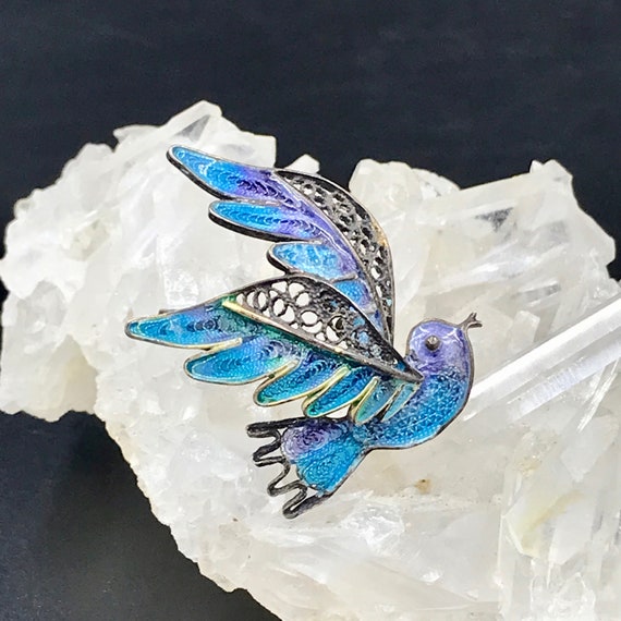 Antique 800 Silver Plique a Jour Bluebird Brooch: Filigree Enamel