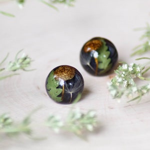 Nature stud earrings, Mushroom resin earrings, Forest earrings, Terrarium jewelry, Black round stud earrings, Nature lover gift idea for her image 1