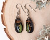 Black teardrop earrings, Dried mushroom earrings, Small dangle earrings for women, Dark cottagecore jewelry, Bohemian dangle earrings
