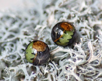 Echte Pilz Ohrstecker, Verzauberte Wald Ohrringe Ohrstecker, Terrarium Ohrringe, Minimal Ohrstecker, Nickel freie Ohrstecker