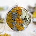see more listings in the Terrarium Jewelry section
