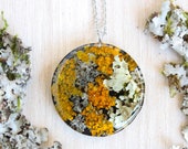 Forest necklace with real lichen, Nature inspired necklace for men, Terrarium pendant necklace, Woodland necklace, Preserved moss necklace