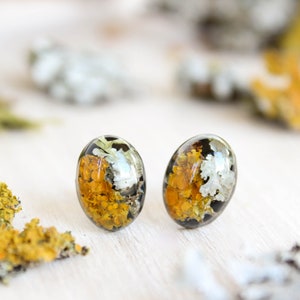 Lichen earrings, Nature stud earrings hypoallergenic, Rustic stud earrings, Forest moss earrings, Terrarium earrings, Nature lover gift idea