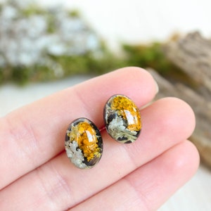 Organic earrings, Moss lichen jewelry, Tiny stud earrings, Oval stud earrings, Boho post earrings, Natural stud earrings, Birthday gift idea