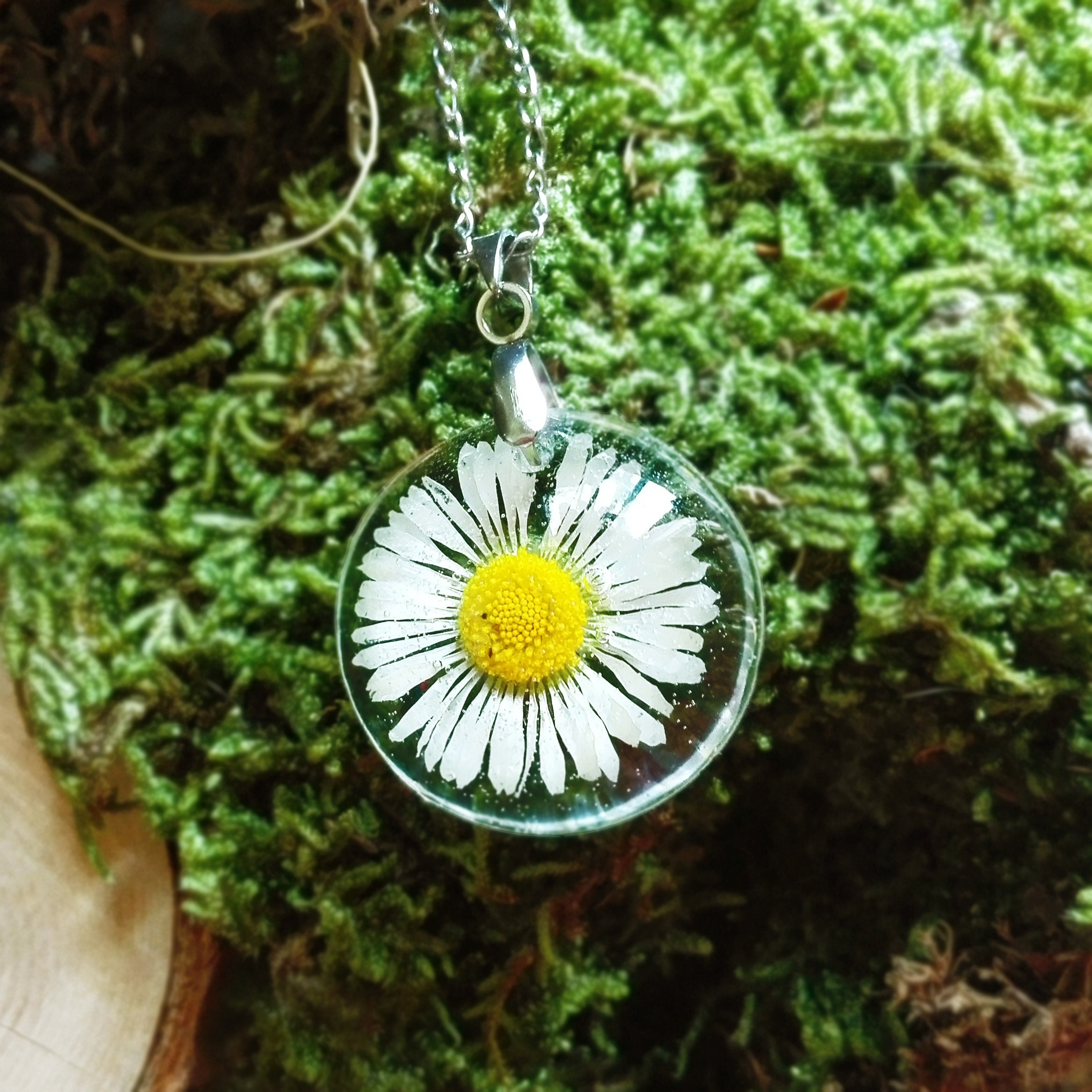 Real daisy shop necklace