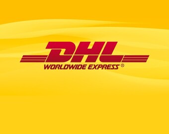 Update on Your Express Delivery - Additional Payment Required for Shipping Difference to Singapore