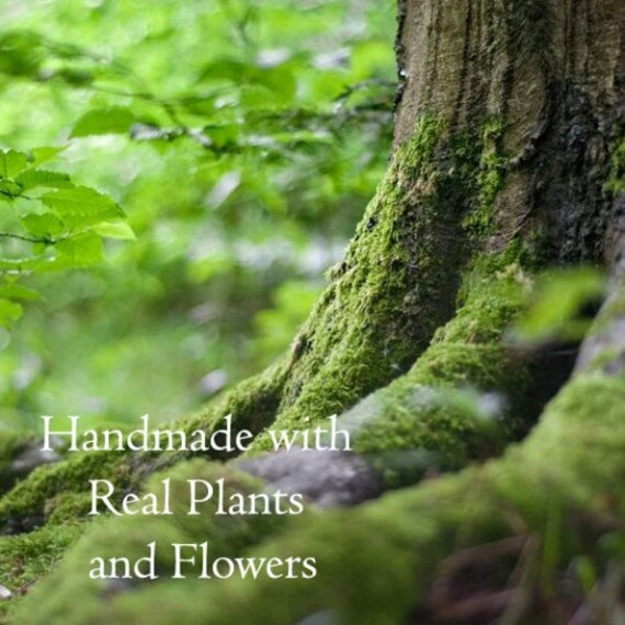 Real plant necklace deals