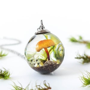 Necklace with a crystal resin sphere pendant on a white background and real mosses. Magical forest inspiration in whose interior a real light brown mushroom stands out with a dandelion seed, a small white flower, and a shell among real moss.