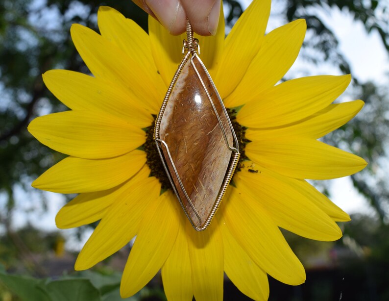 Petrified Wood Pendant