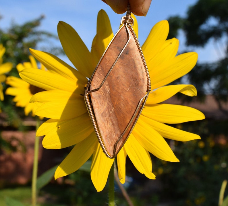 Petrified Wood Pendant