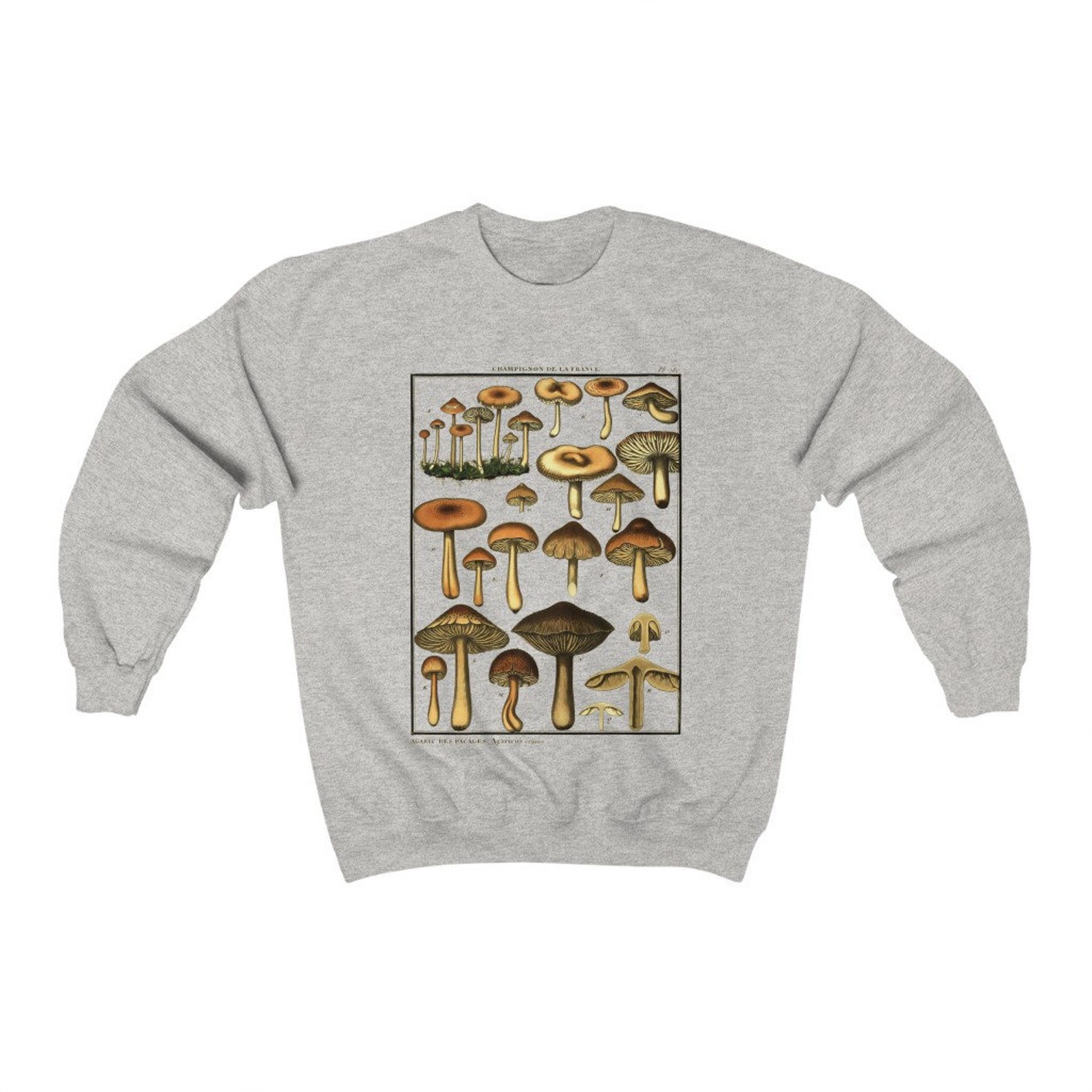 Mushroom Jumper Mushrooms Botanical Jumper Botanical Etsy