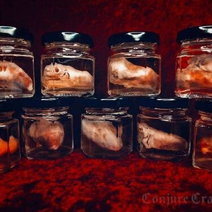 Preserved Chicken Heart In A Jar, Real Wet Specimen, Oddities, Curiosities, Biological Specimen, Weird Gift, Valentine, Mature, Occult Decor