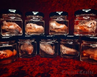 Real Chicken Heart in a Jar | Authentic Preserved Specimen, Stored in Hexagonal Jar, Altar Decor, Curiosities, Weird Gifts, Hoodoo, Voodoo