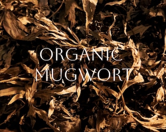 Organic Mugwort Herb for Dreams, Intuition, Psychic Protection (2x3in Bag)