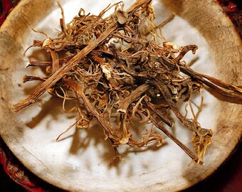 Powerful Dominion Root | Control, Power, Attraction, Good Fortune, Strength, Luck, Hand Foraged Botanical, Spiritual Curio, Hoodoo, Voodoo