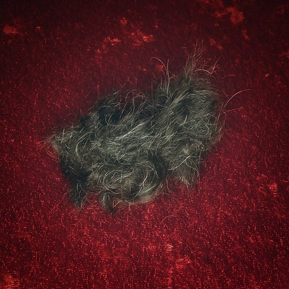 Black Dog Hair Power, Influence, Baneful, Crossing, Spell Jars