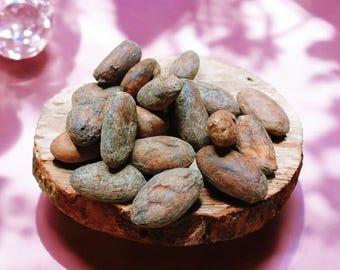 Cacao Beans | Sweetening, Attraction, Love, Fidelity, Joy, Prosperity, Folk Magic Botanical, Hoodoo, Voodoo, Rootwork, Conjure, Altar Decor