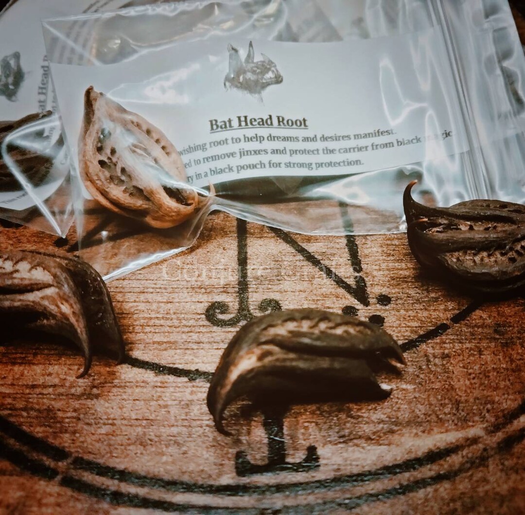 Bat Head Root, Protection, Wishing Root, Manifesting, Anti Hex