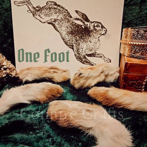 Beautiful Lucky Jack Rabbit's Foot Good Luck Charm Etsy