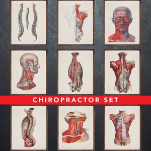 Anatomie afdrukken, set van 9 posters, als cadeau voor de chiropractor arts, chiropractie medische kantoor wanddecoratie kunst