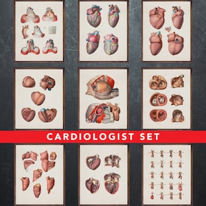 Anatomie afdrukken, set van 9 posters, als cadeau voor cardioloog arts, cardiologie medische kantoor wanddecoratie kunst