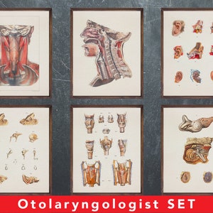 Anatomie afdrukken, set van 6 posters, als cadeau voor Otolaryngologist arts, ent medische kantoor wanddecoratie kunst