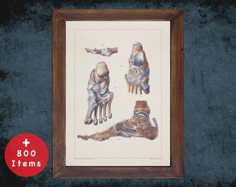 Ankle Anatomy Art Print: Vintage Podiatry Decor