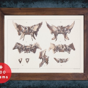 FORAMEN OVALE SPHENOID anatomy art print for medical student graduate, neuroscience and Neurosurgery doctor gift office decor