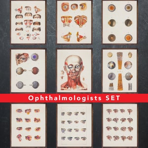 Anatomie afdrukken, set van 9 posters, als cadeau voor oogarts dokter, optometrie medische kantoor wanddecoratie kunst