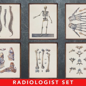 Anatomie print, set van 6 posters, cadeau voor radioloog arts, radiologie medisch kantoor muur kunst decoratie