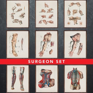 Anatomie afdrukken, set van 9 posters, als cadeau voor chirurg dokter, chirurgie medische kantoor wanddecoratie kunst