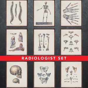 Anatomie afdrukken, set van 9 posters, als cadeau voor de radioloog dokter, radiologie medische kantoor wanddecoratie kunst