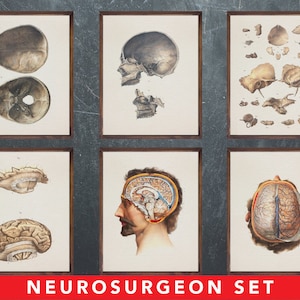 Anatomie afdrukken, set van 6 posters, als cadeau voor de neurochirurg arts, Neurochirurgie medische kantoor wanddecoratie kunst