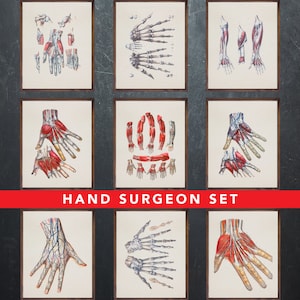 Anatomie afdrukken, instellen van 9 posters, cadeau voor hand chirurg, hand chirurgie medische kantoor wanddecoratie kunst