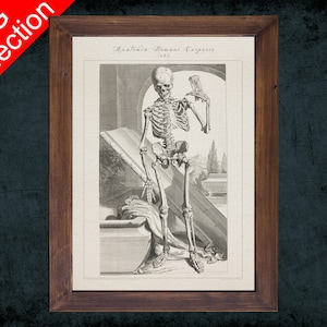 Human anatomy art print HUMAN SKELETON BODY anatomical antique sketch drawing