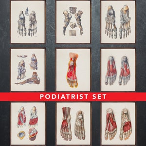 Anatomie afdrukken, set van 9 posters, als cadeau voor dokter podoloog, Podologie medische kantoor wanddecoratie kunst