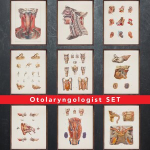 Anatomie print, set van 9 posters, cadeau voor Otolaryngologist arts, Otolaryngology medische kantoor muur kunst decoratie