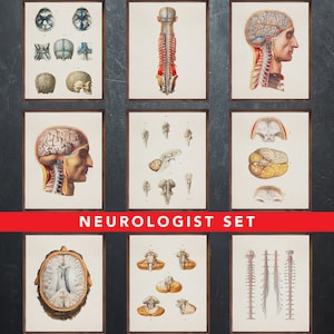 Anatomie afdrukken, set van 9 posters, als cadeau voor de neuroloog arts, neurologie medische kantoor wanddecoratie kunst