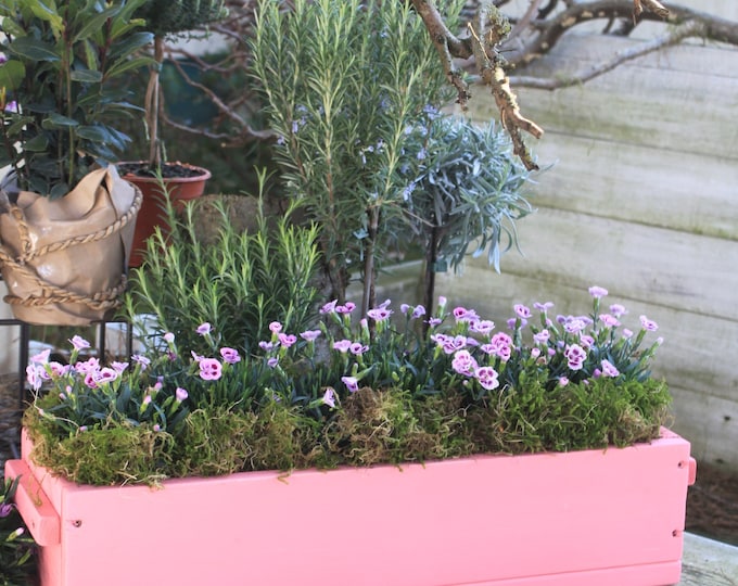 Flower box "The Original by Dekorie" made of wood with wooden handles 30 - 90 cm wide / 19.5 cm deep / in pink