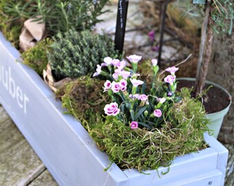 Dekorie67 Blumenkasten Aus Massivem Holz – Weiß, 12x70x15 Cm, Vintage-Design Für Innen