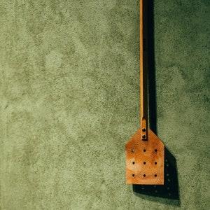 TiME flyswatter