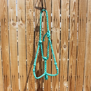 Mule Tape Braided Bronc Nose Halter With Detachable Lead